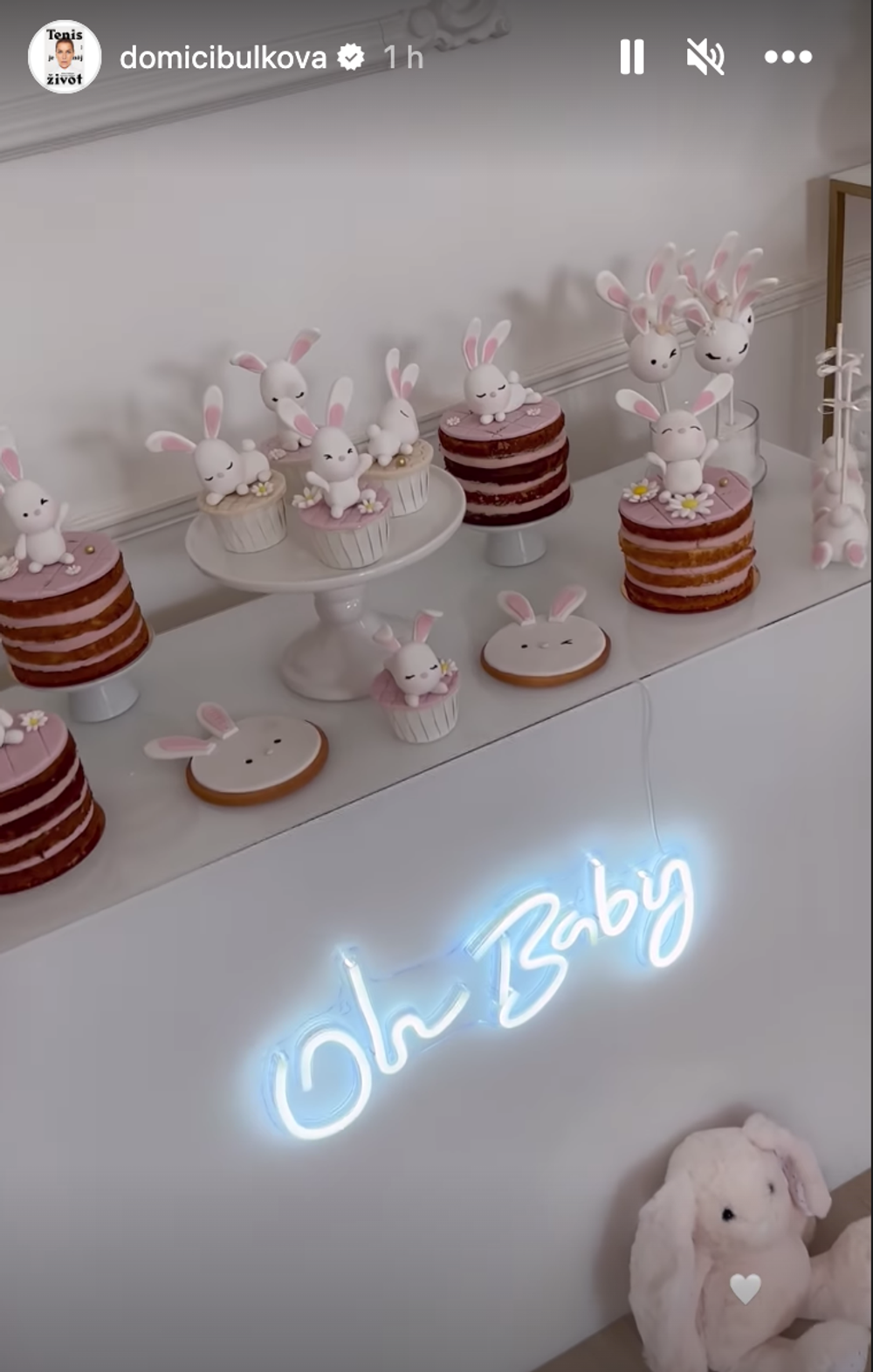 Snímka obrazovky 2023-02-05 o 15.30.44