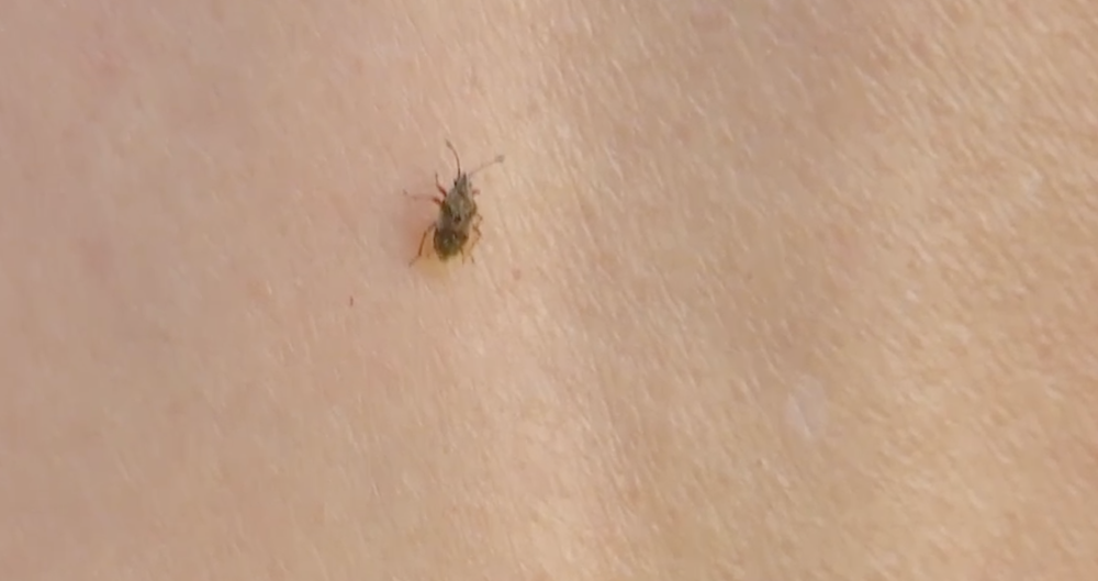 Bzdochy trápia ľudí v Šali