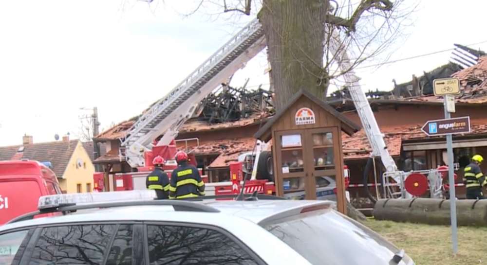 Screenshot 2023-03-25 091616