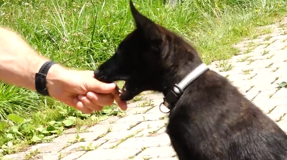 Screenshot 2024-07-27 093748