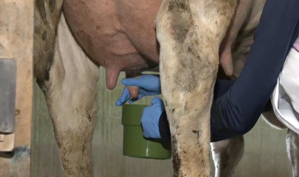 Screenshot 2024-05-19 092317