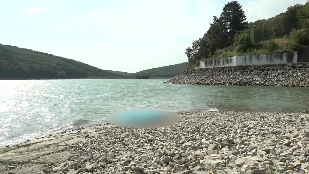 [multi] 082724WVP 363