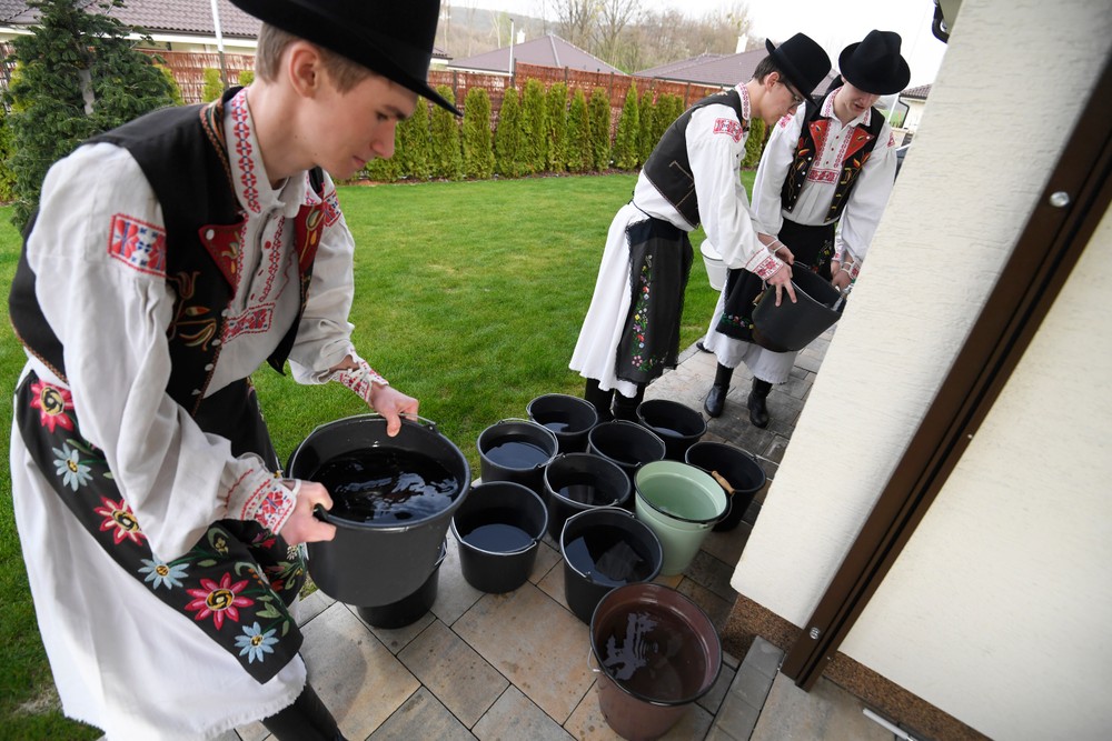 oblievacka12_1_4_2024031508