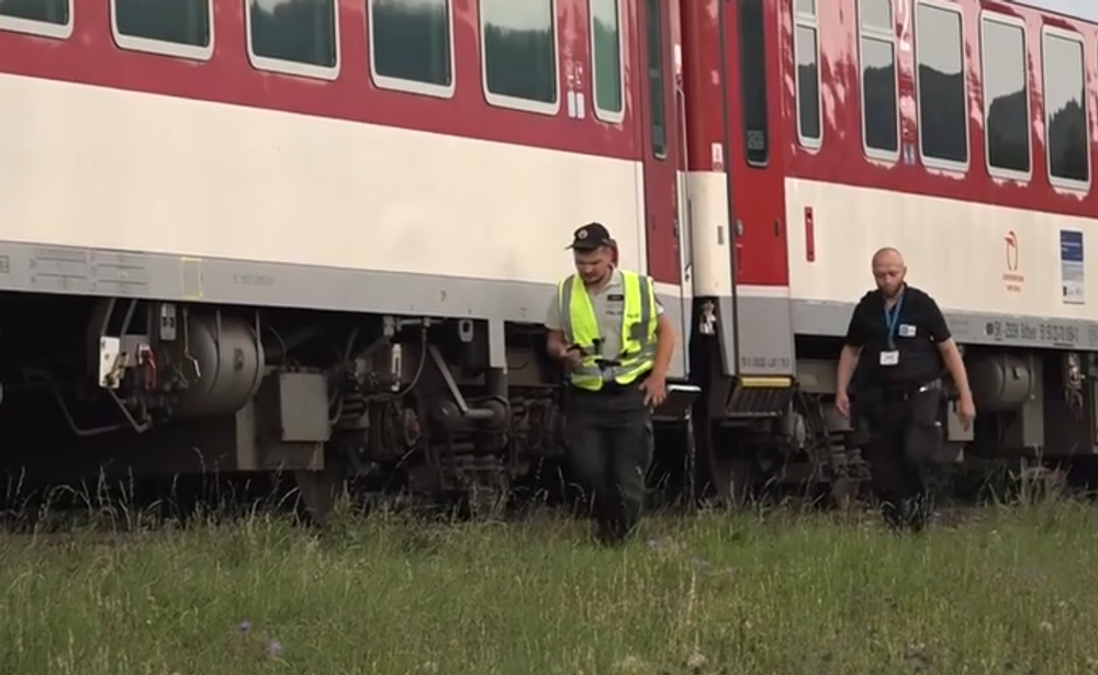 Screenshot 2024-08-10 133602