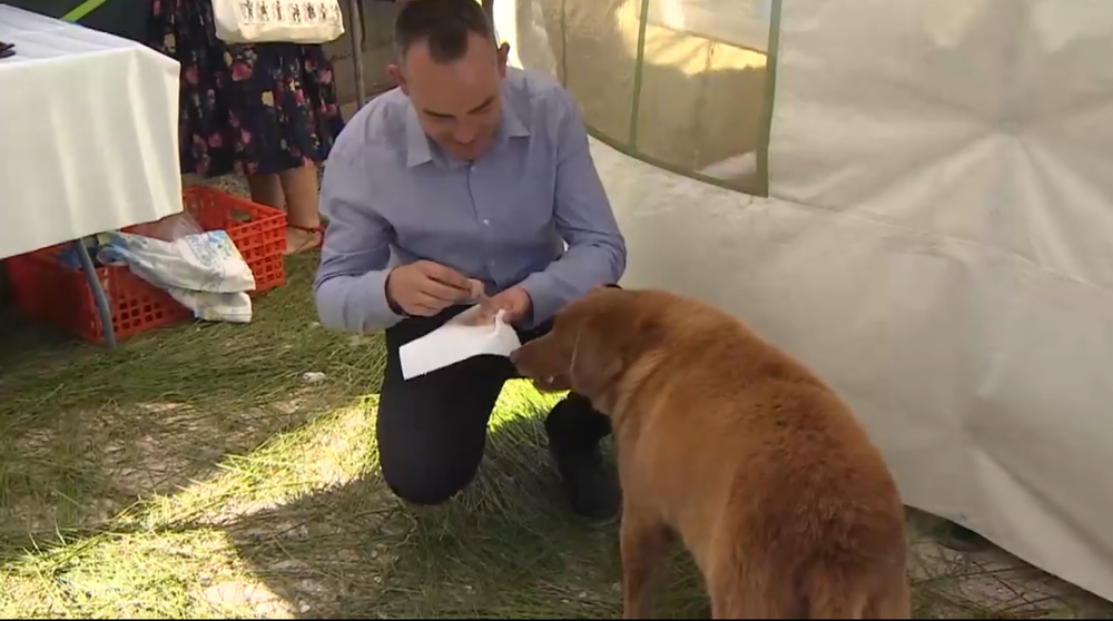 Najstarší pes na svete