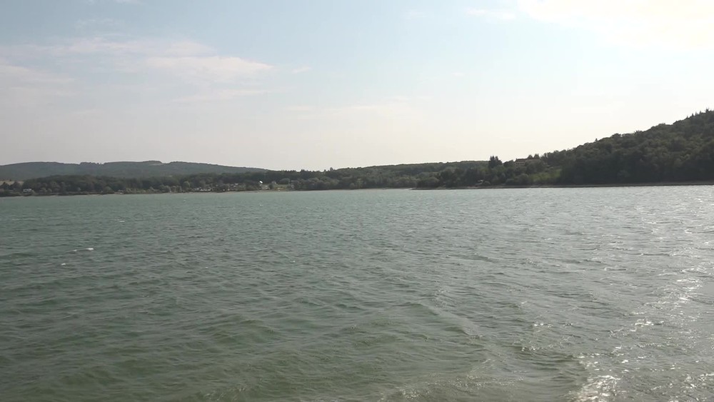 [multi] 082724WVP 366