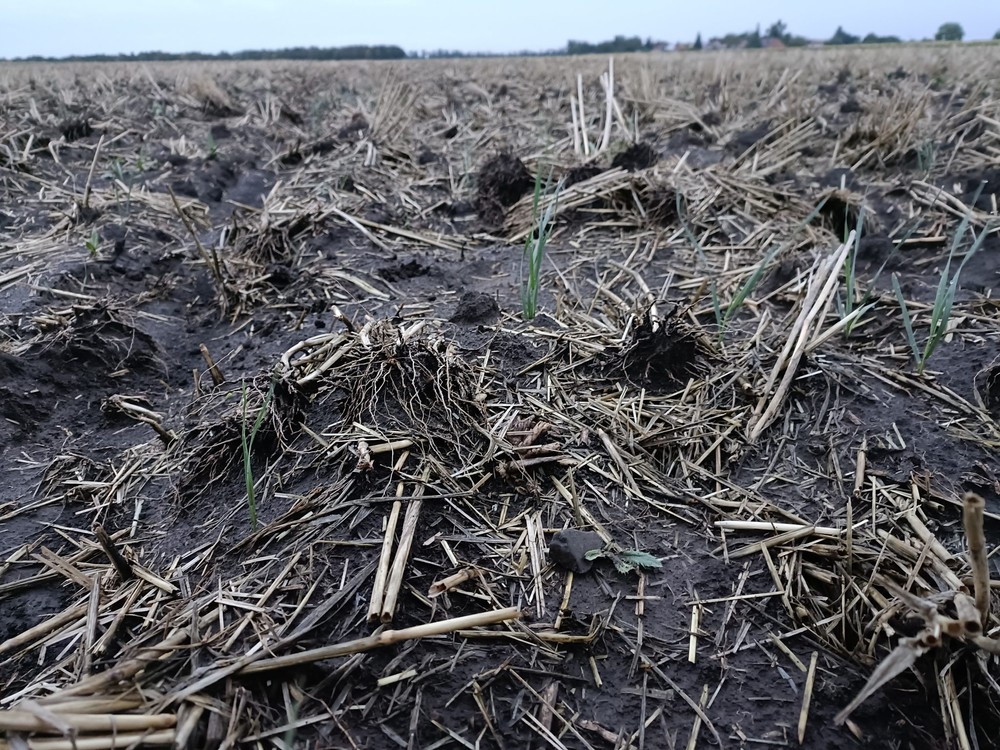 307747854_1520670865053770_5584241262117394757_n