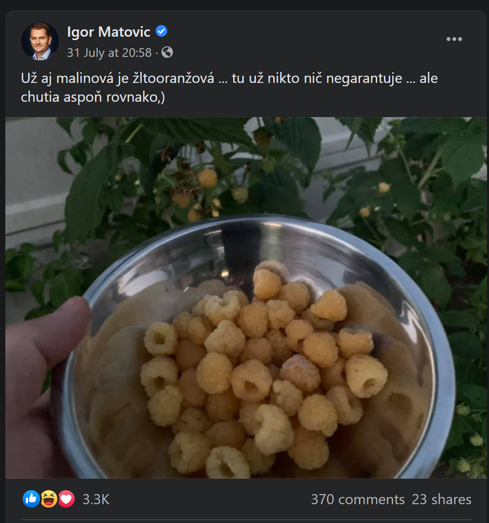 Politici na sociálnych sieťach