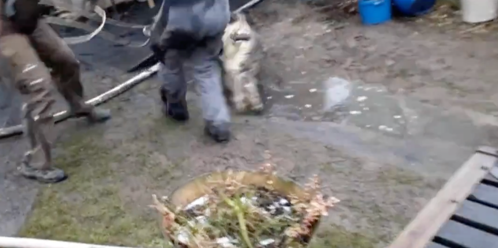 Českí hasiči zachraňovali krokodíla