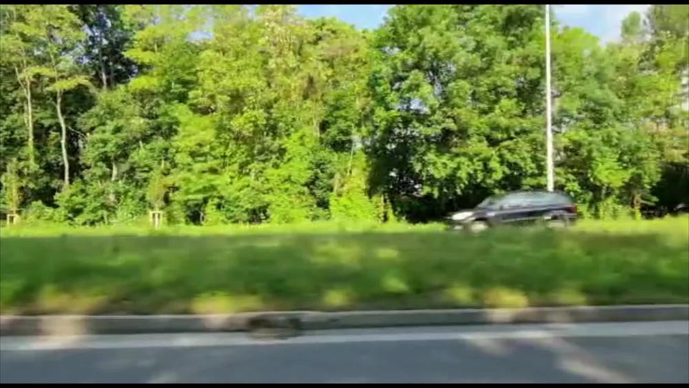 [multi] afganci. 7028