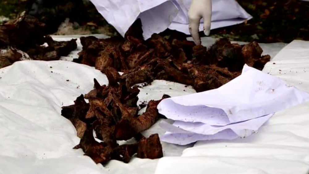 [multi] Nájdené kosti 7333