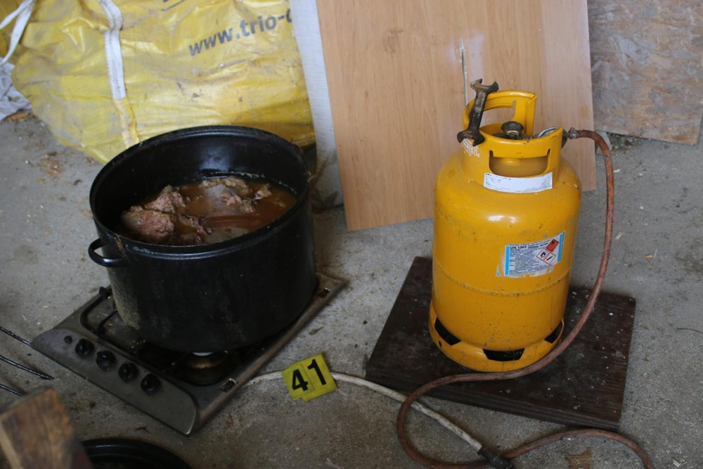 Razia v Prahe proti nelegálnemu obchodovaniu s tigrami