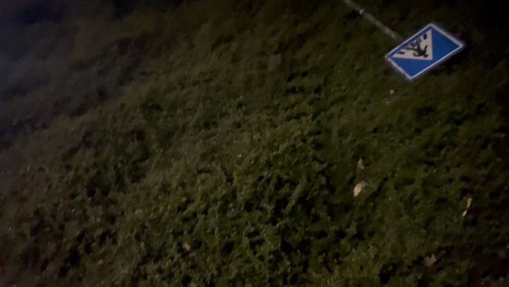 [multi] 050224PPD 540