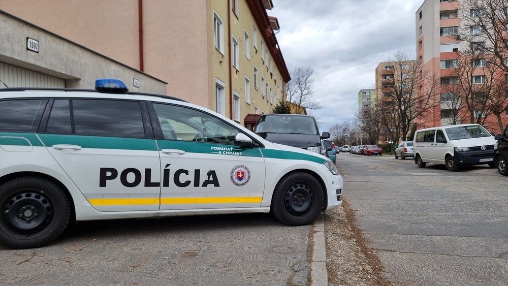Policajná akcia