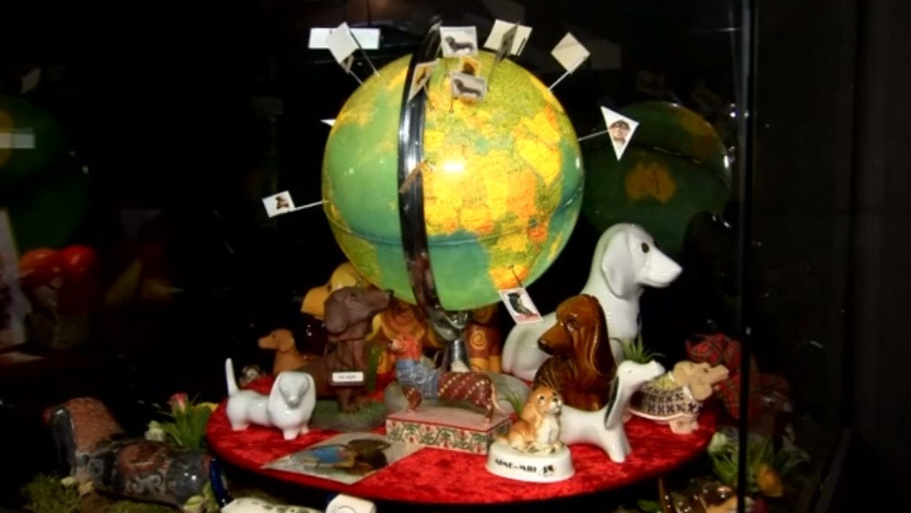 Múzeum jazvečíkov 