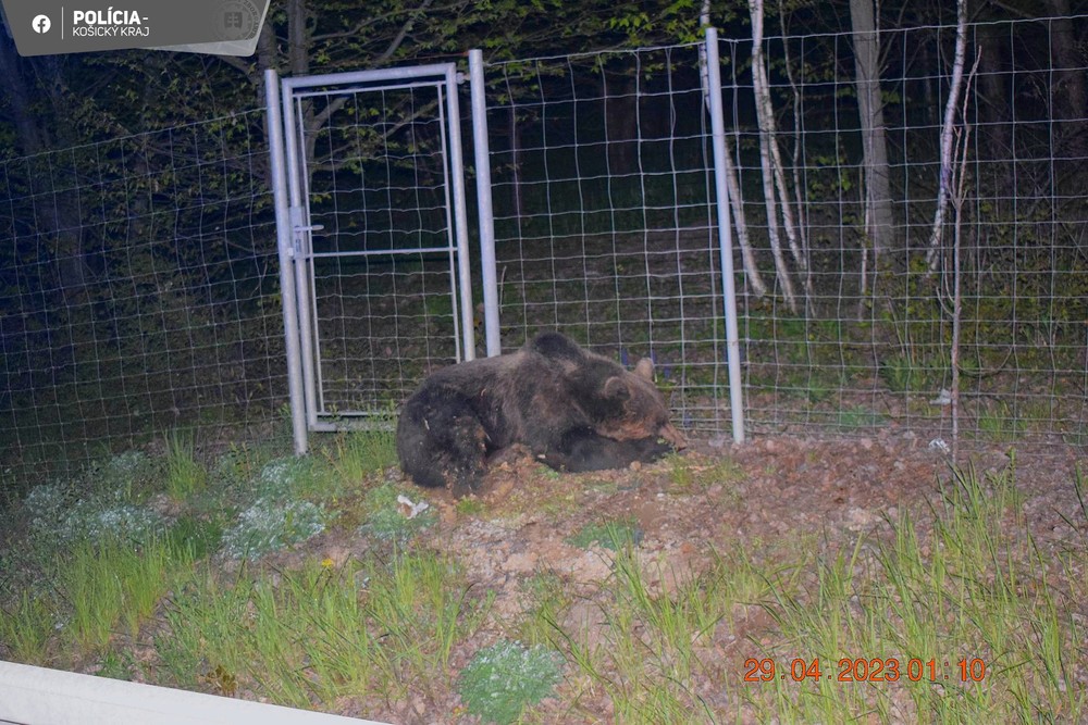 343456694_185407184365550_9033640513564548234_n