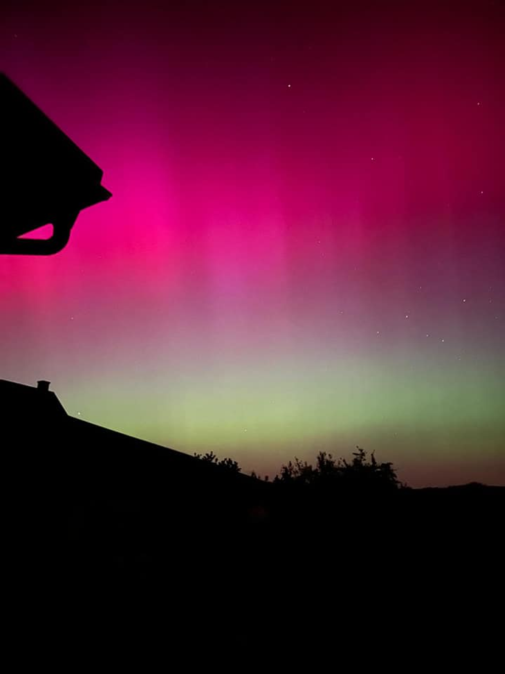 Tery Žikavská Kurkinová polárna