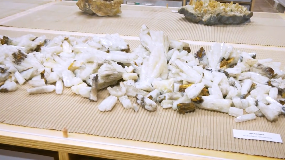 Screenshot 2024-08-10 092432