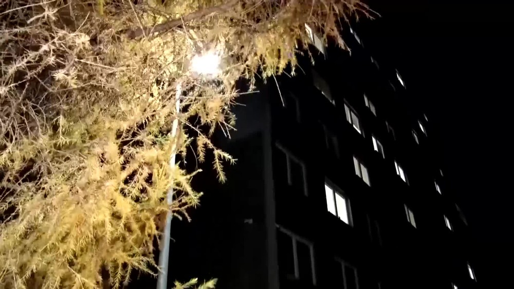 [multi] Rys v meste 4947