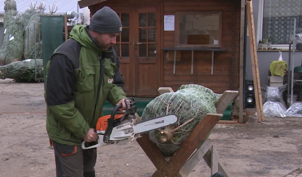 Príprava stromčekov