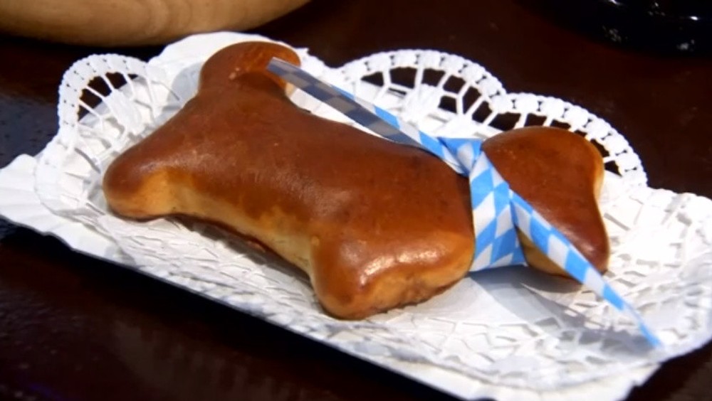 Múzeum jazvečíkov 