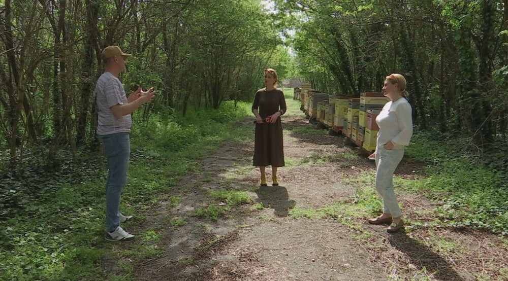 teplotne rekordy pocasie kvety (8)