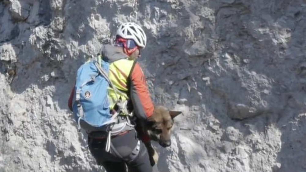 Záchranári, psy a technika v teréne