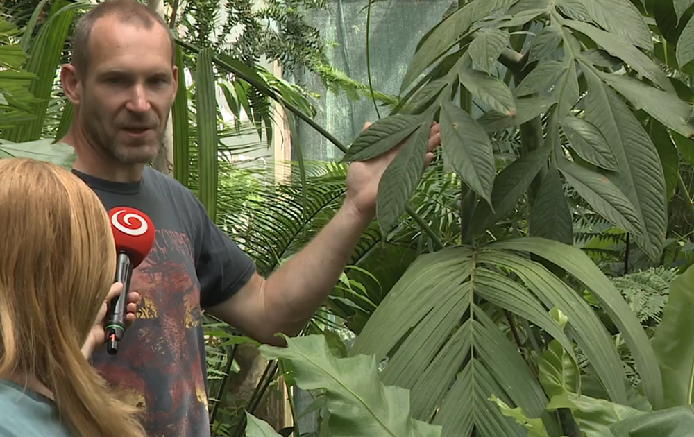 Screenshot 2024-07-27 084006