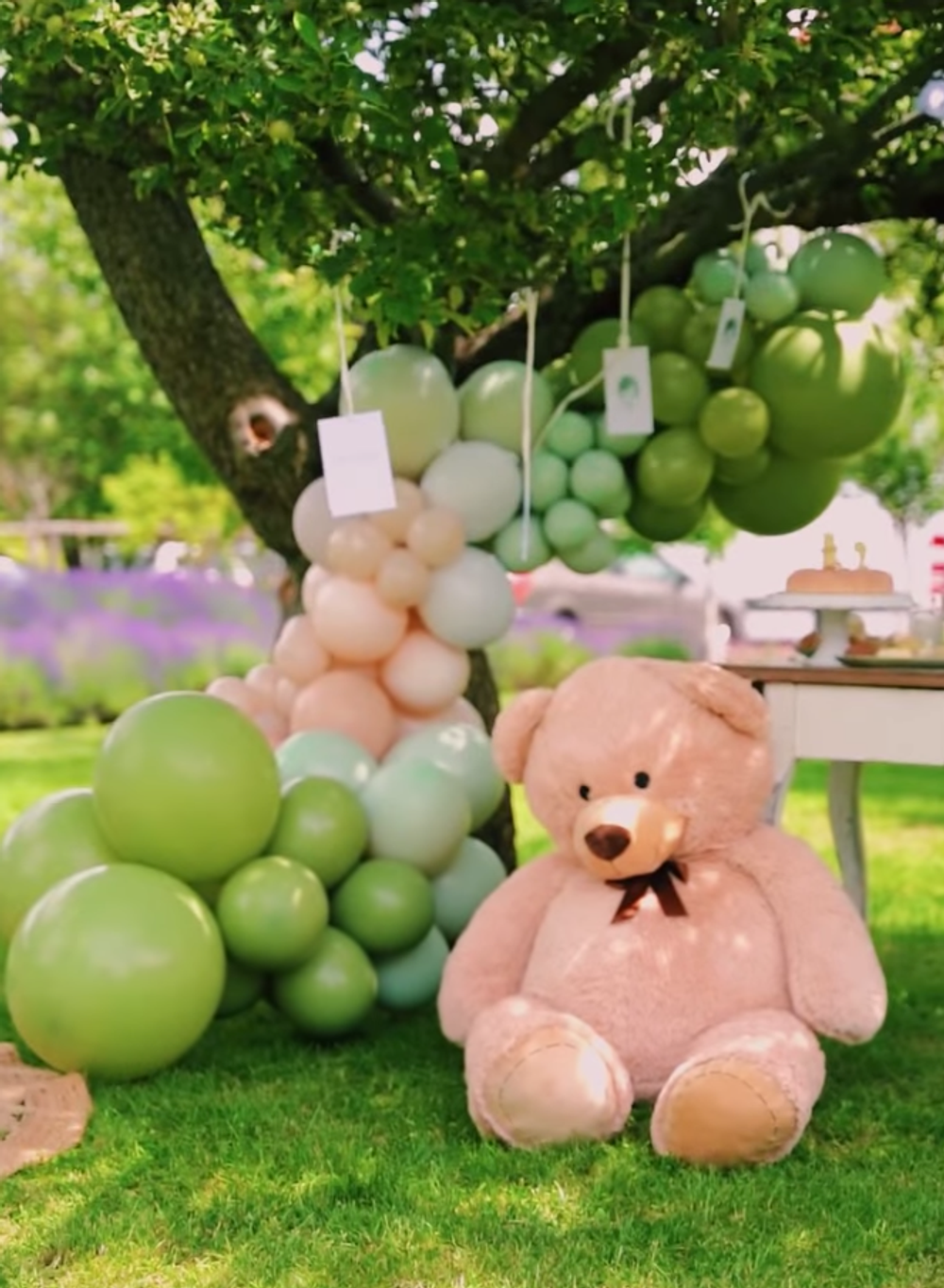 Dominika Cibulková - oslava Jakubkových 2. narodenín