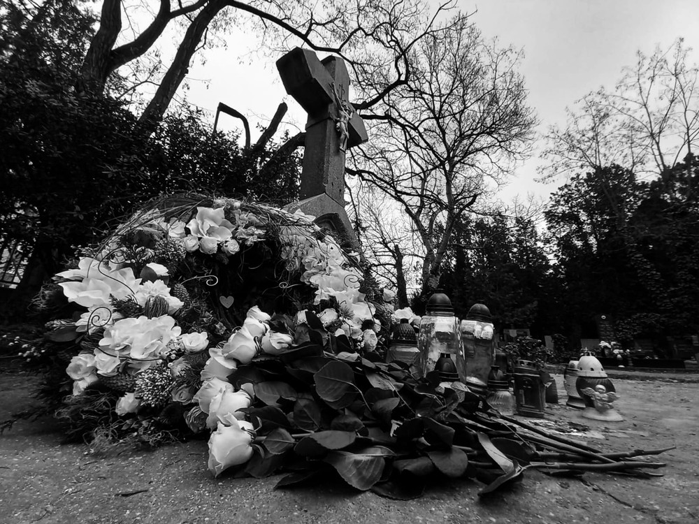 332208148_227432633065915_2008211080869286499_n