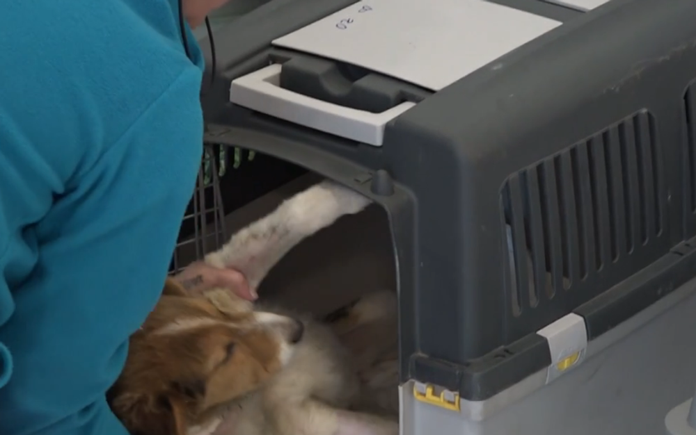 Snímka obrazovky 2024-10-03 173656