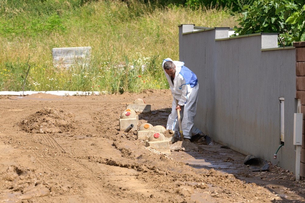 bltpvdnnr110624nr3049752