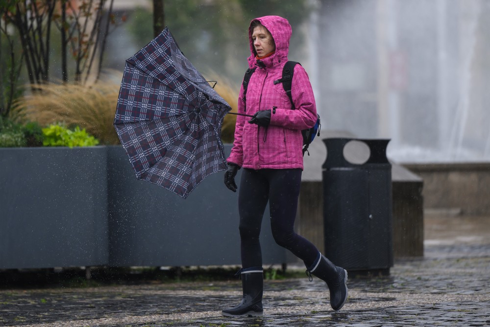 20241409_dazd_ba_08072100