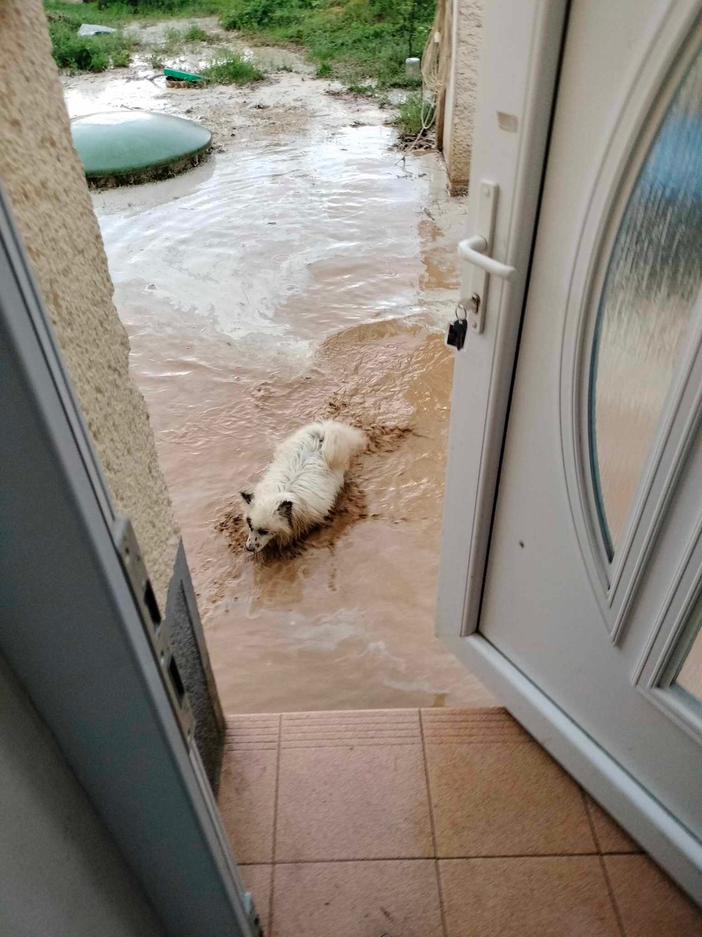 20240405_navojovce_povoden_2039943