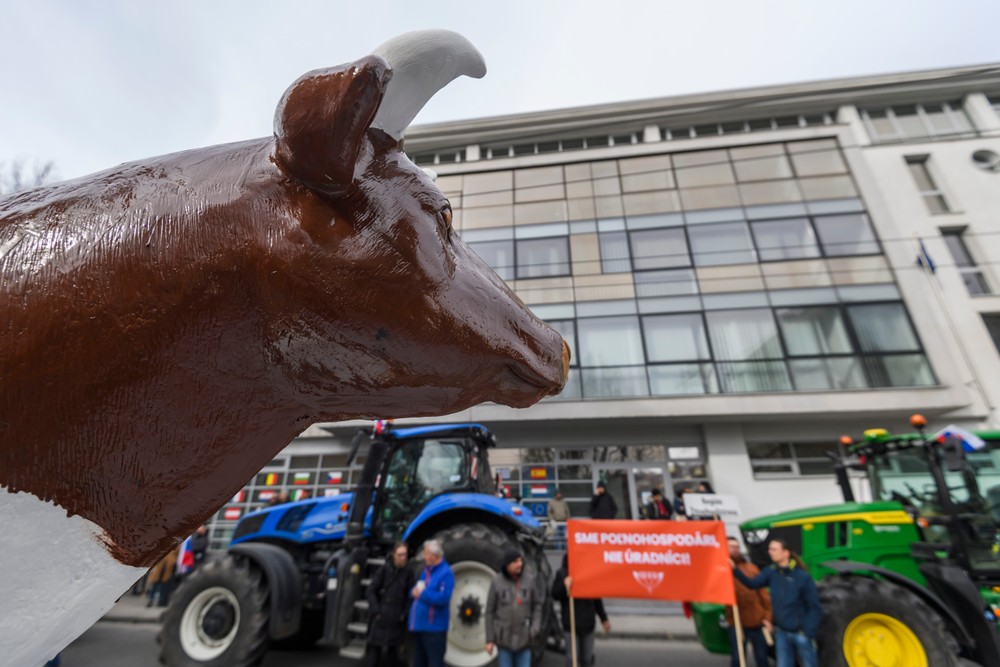 20242202_protesty_farmari_06022134