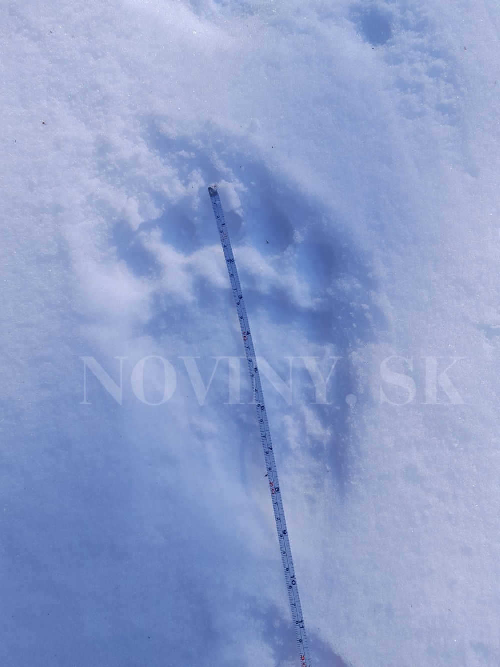 334318993_632236185577937_6598063177095808899_n