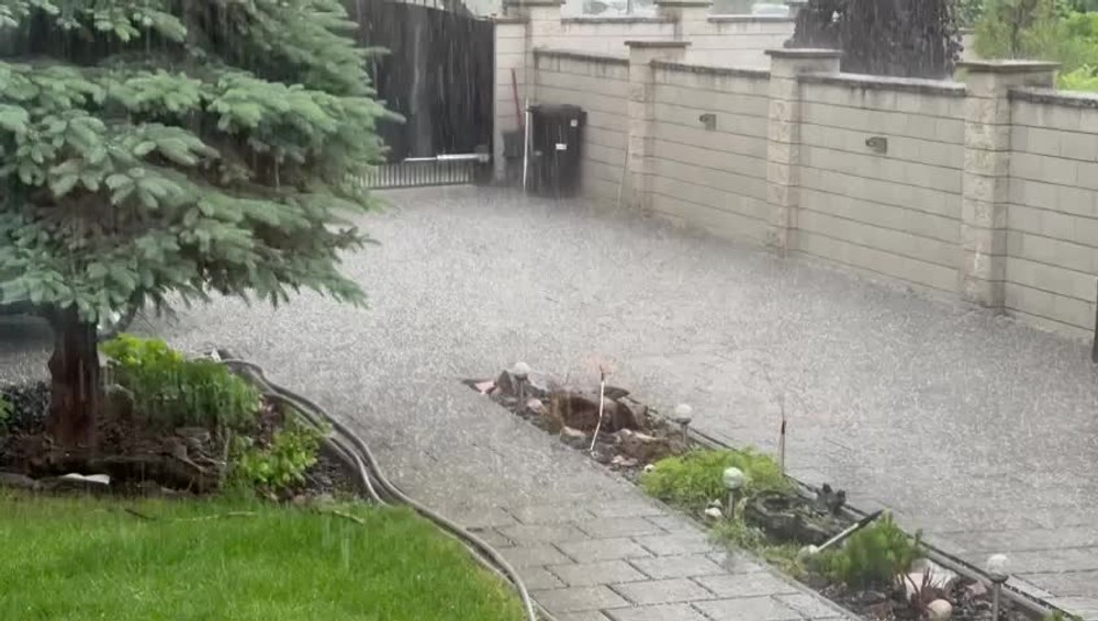 [multi] burka krupy galanta 9987