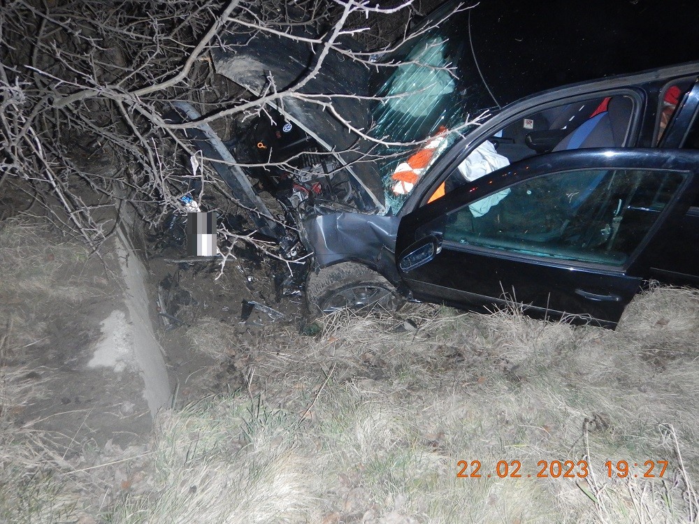 332428502_698069742064206_339560343685748418_n