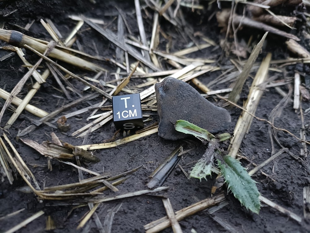 307993353_1520670975053759_5855248827322577351_n