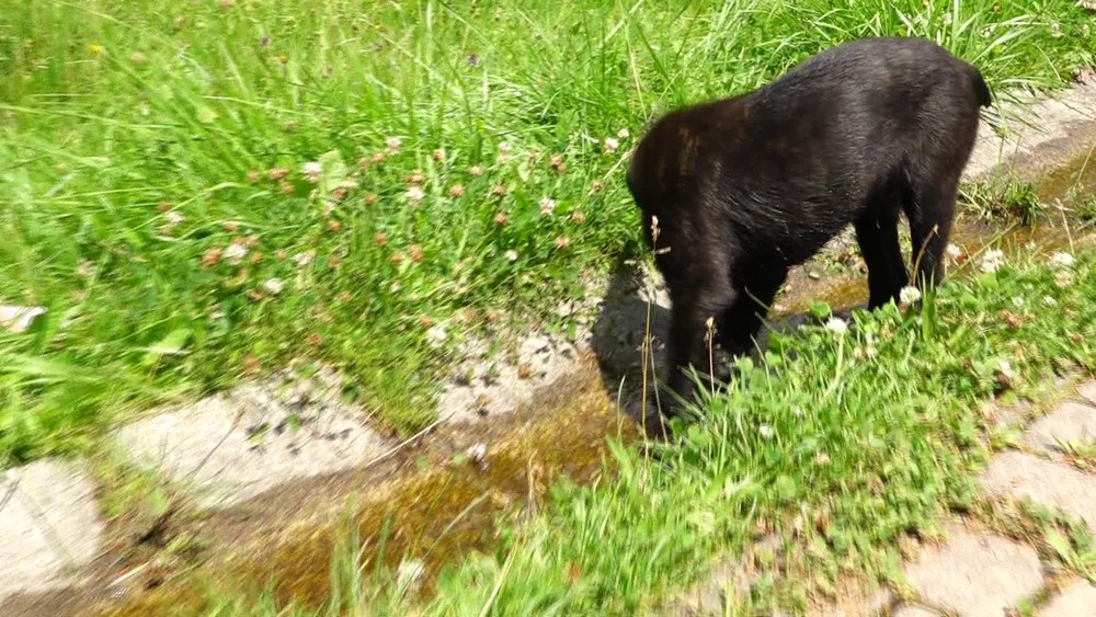 [multi] 071024ZFZ 12064