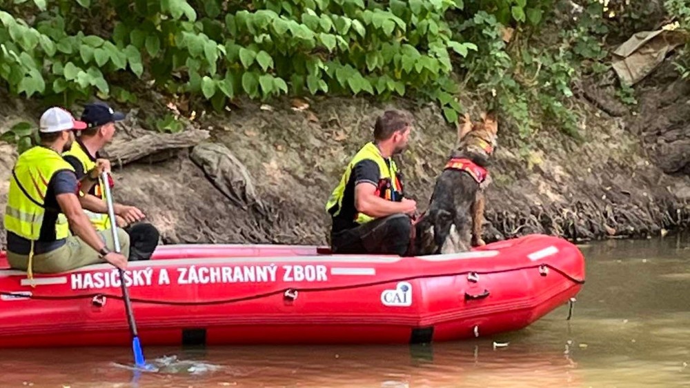 Pátranie po malom chlapcovi 8