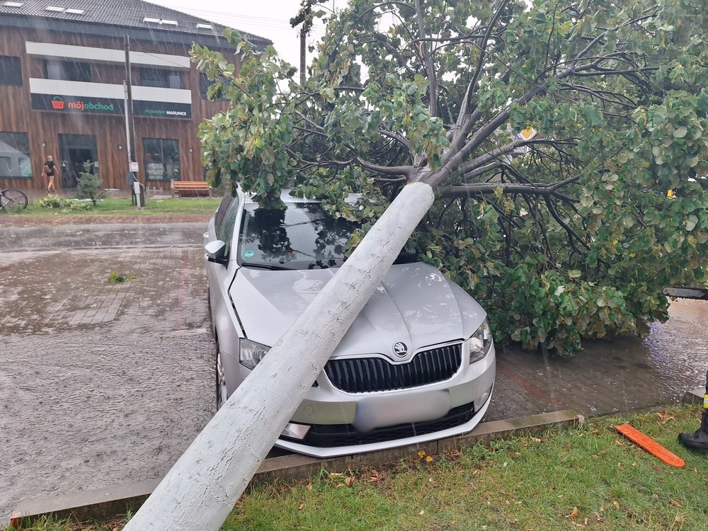 31523b22-60df-43ad-885d-b154848bc7ff