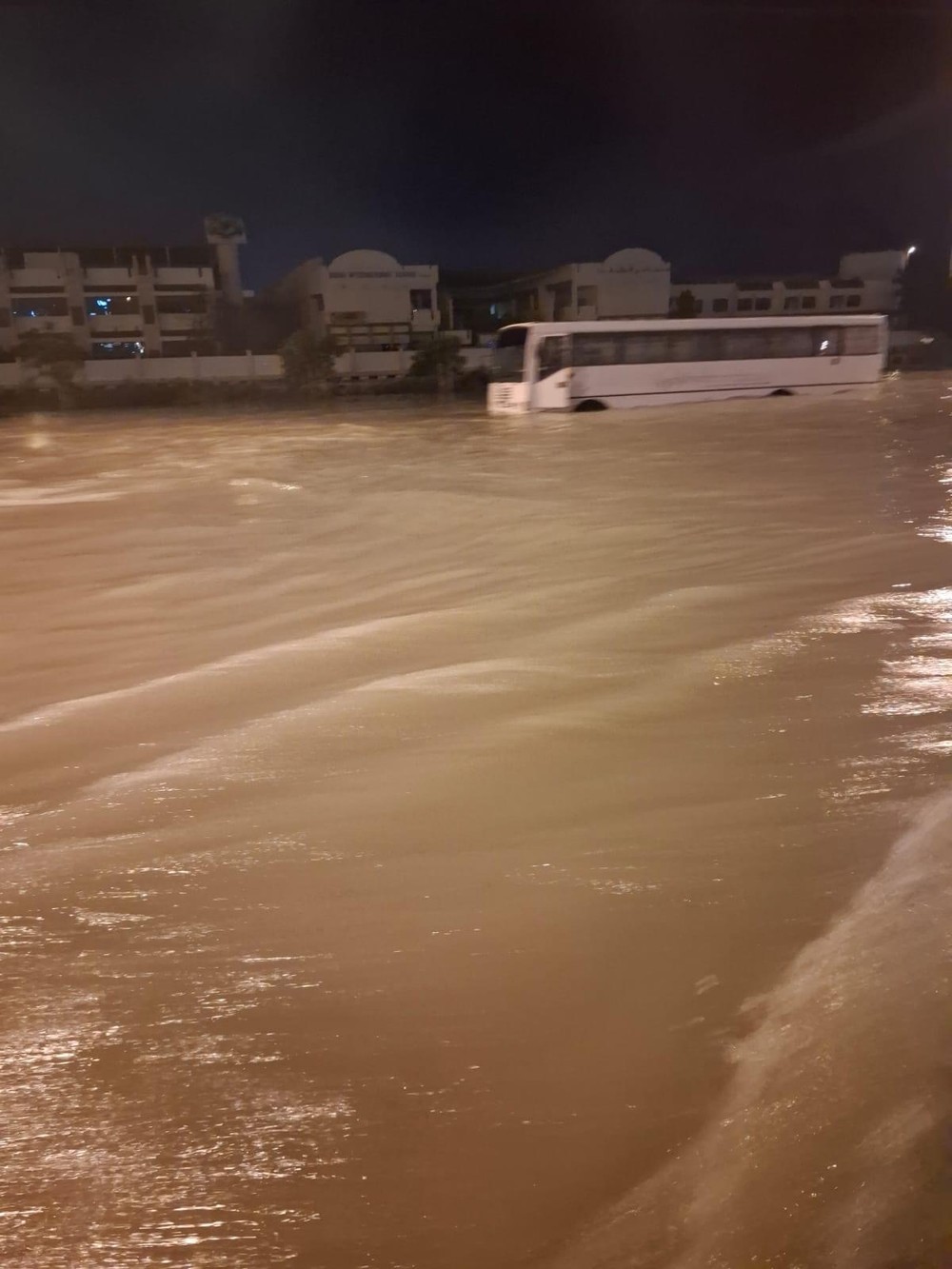 WhatsApp Image 2024-04-17 at 15.53.01 (3)