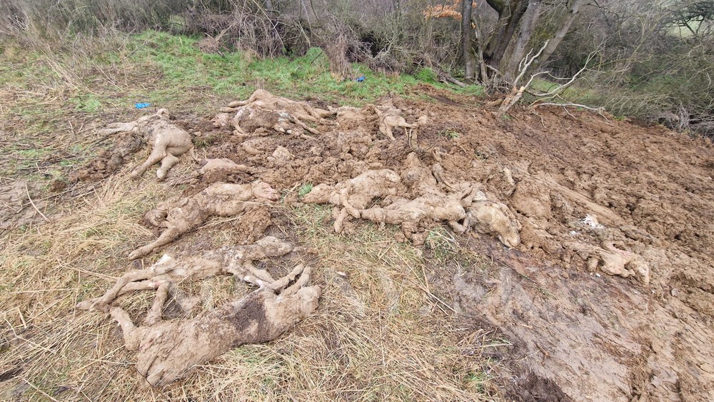 WhatsApp Image 2023-03-07 at 10.18.04