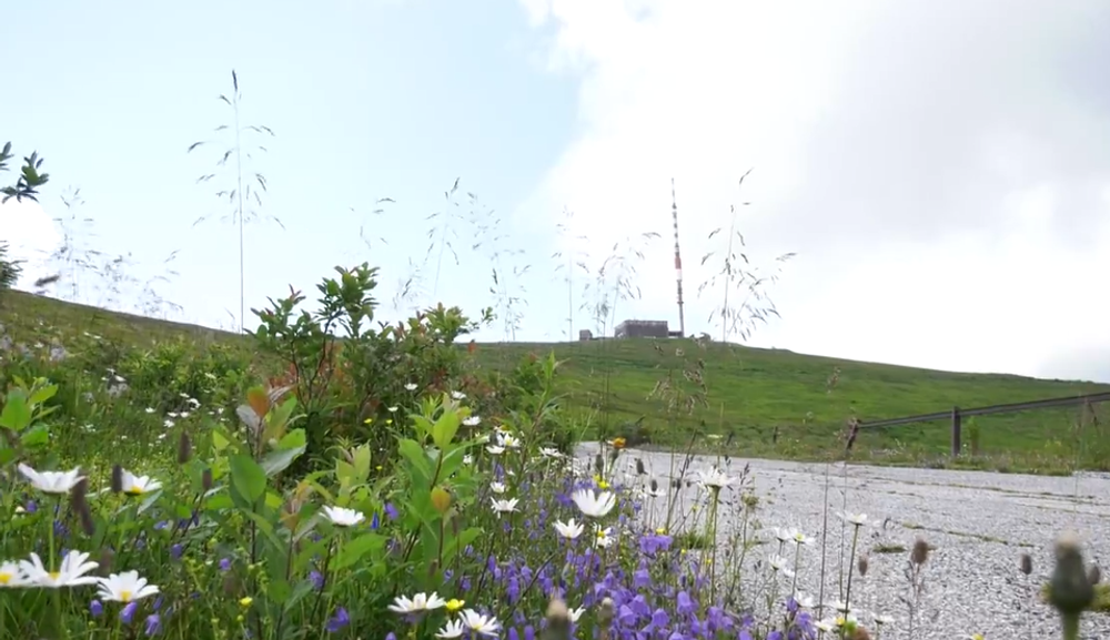 Najvyššie položená nádoba na zálohovanie