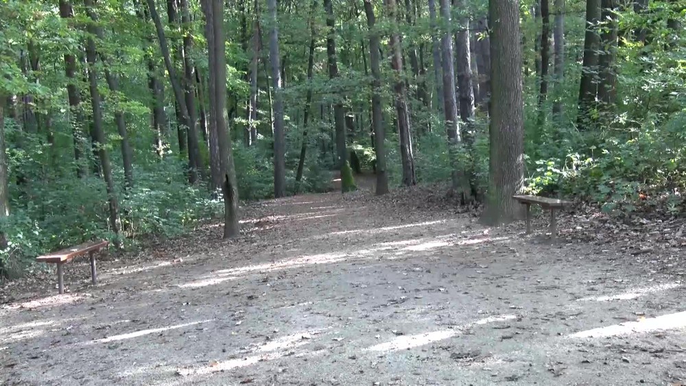 [multi] Dohryzena zena 11242