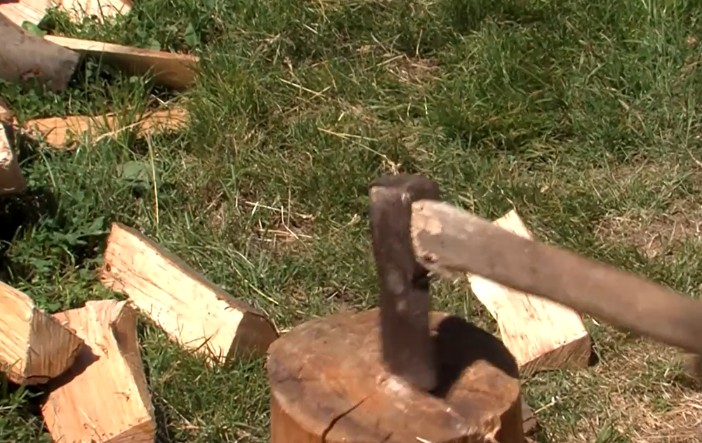 Lesy v národnom parku