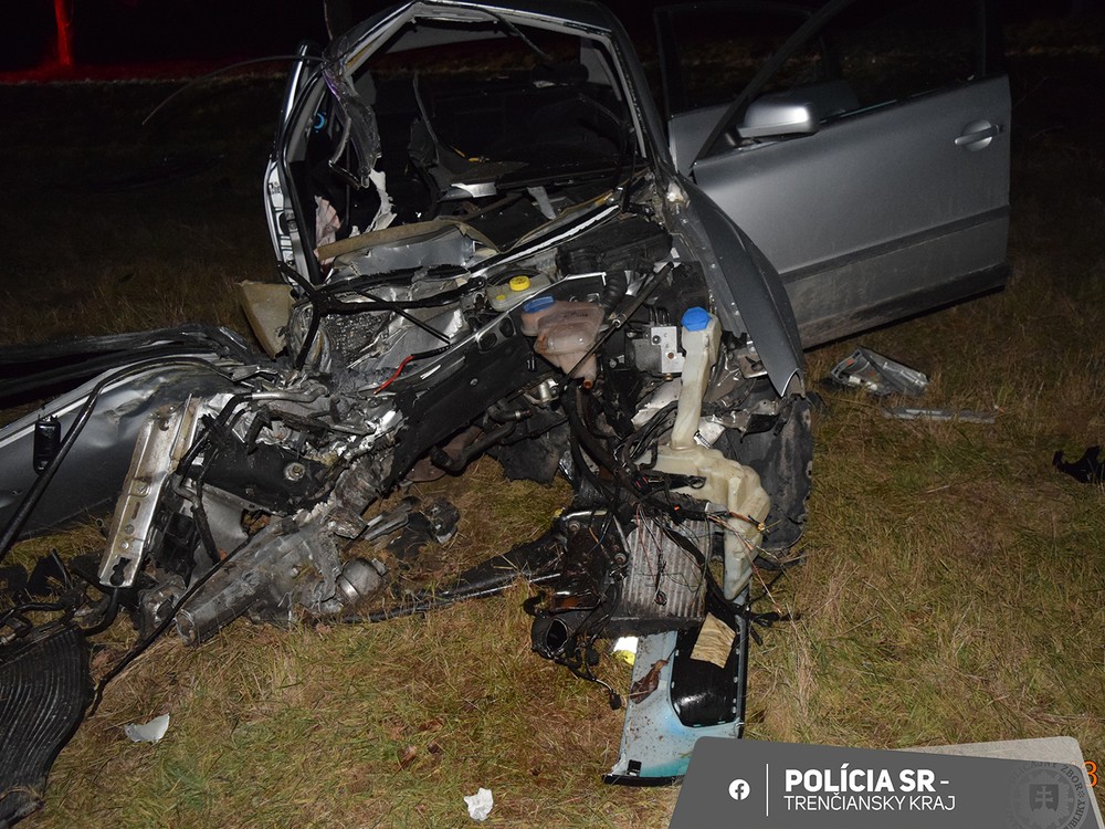 Vodič narazil do stromu