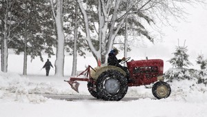 Ako to nespackať: Môžete jazdiť na traktore v lese bez vodičáku?