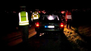 Zrážka auta s diviakmi. Jedno zviera museli utratiť